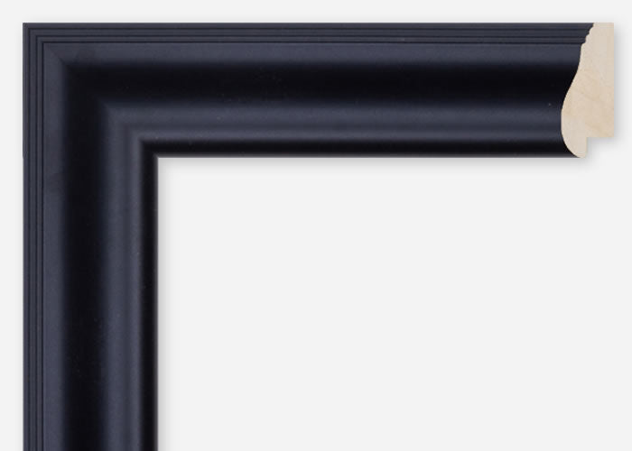 Custom Frame CFCDMS-8299
