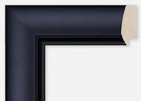 Custom Frame CFCDMS-8376