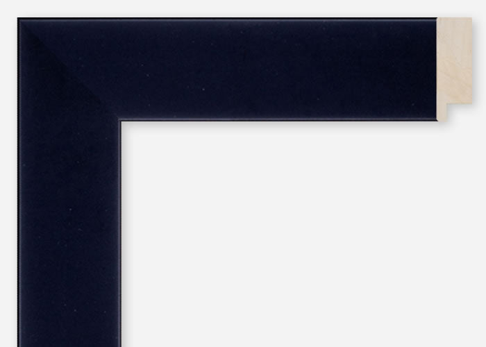 Custom Frame CFCDMS-8411