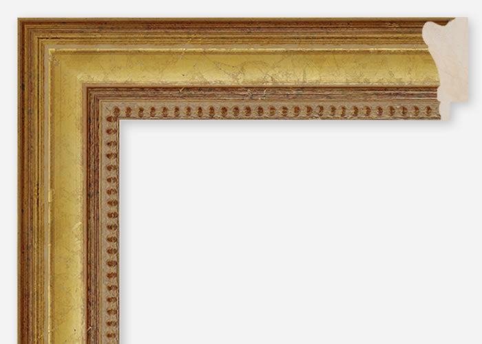 Custom Frame CFCDMS-8447