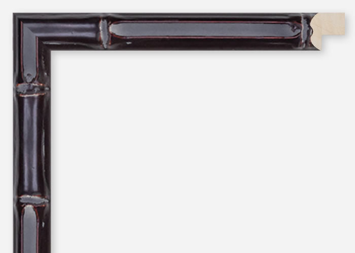 Custom Frame CFCDMS-8575