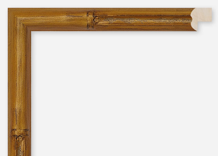 Custom Frame CFCDMS-8576
