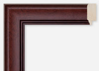 Custom Frame CFCDMS-8686