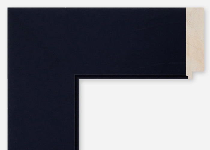 Custom Frame CFCDMS-8691