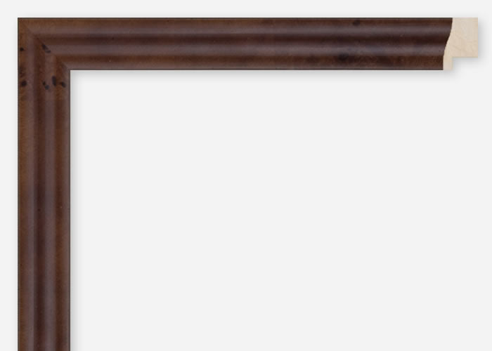 Custom Frame CFCDMS-8713