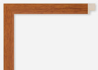 Custom Frame CFCDMS-8744