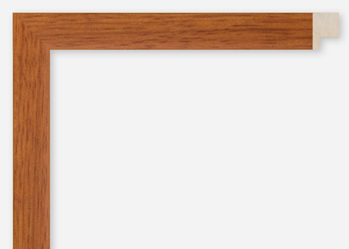 Custom Frame CFCDMS-8744