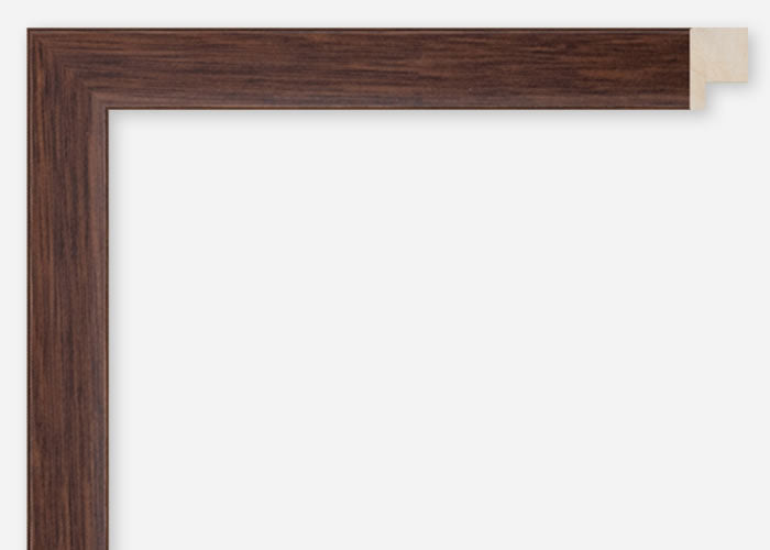 Custom Frame CFCDMS-8745