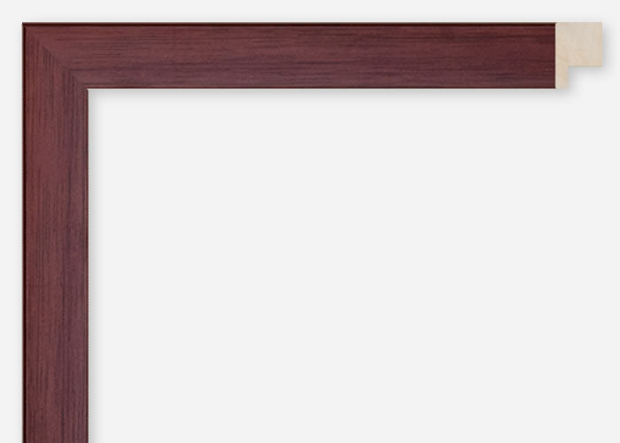 Custom Frame CFCDMS-8746