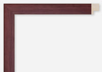 Custom Frame CFCDMS-8746