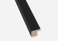 Custom Frame CFCDMS-8749