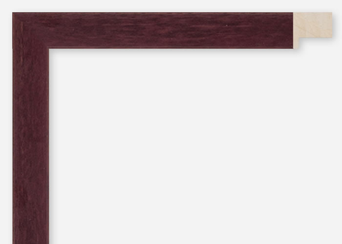 Custom Frame CFCDMS-8760