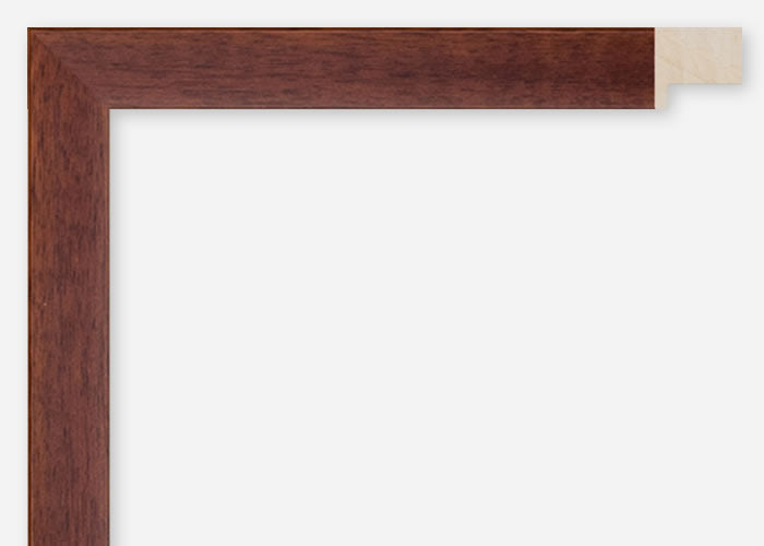 Custom Frame CFCDMS-8761