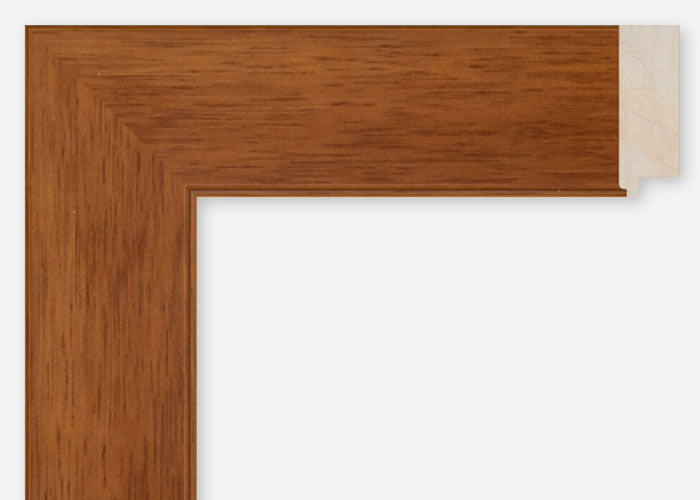 Custom Frame CFCDMS-8765