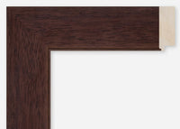 Custom Frame CFCDMS-8766