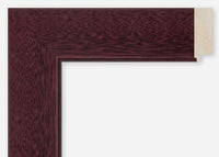 Custom Frame CFCDMS-8767