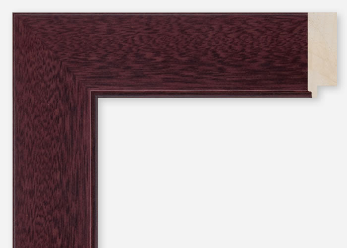 Custom Frame CFCDMS-8767