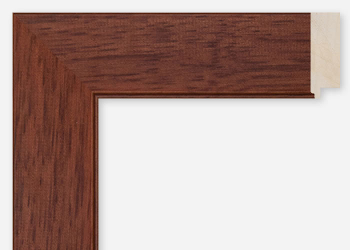 Custom Frame CFCDMS-8768