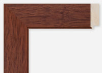 Custom Frame CFCDMS-8768