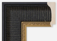 Custom Frame CFCDMS-8801
