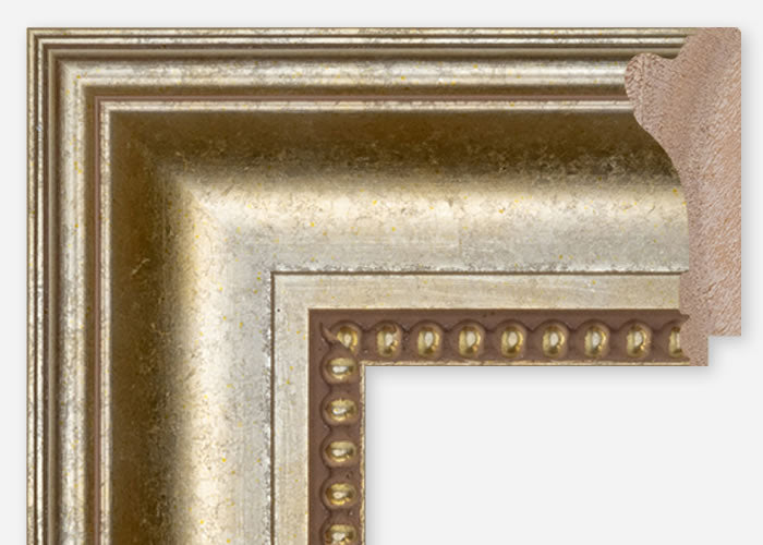 Custom Frame CFCDMS-8810