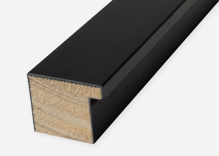 Custom Frame CFCDMS-8811