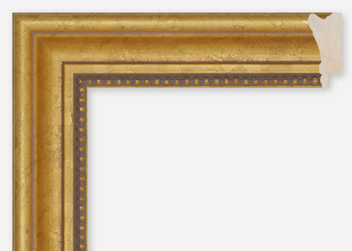 Custom Frame CFCDMS-8879