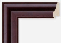 Custom Frame CFCDMS-9033