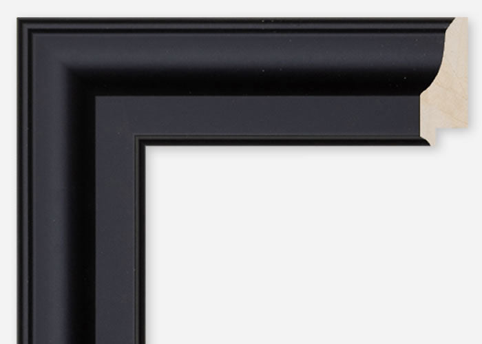 Custom Frame CFCDMS-9035