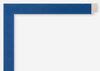 Custom Frame CFCDMS-9161