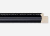 Custom Frame CFCDMS-9169