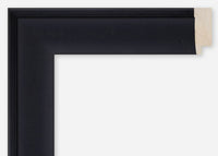 Custom Frame CFCDMS-9282