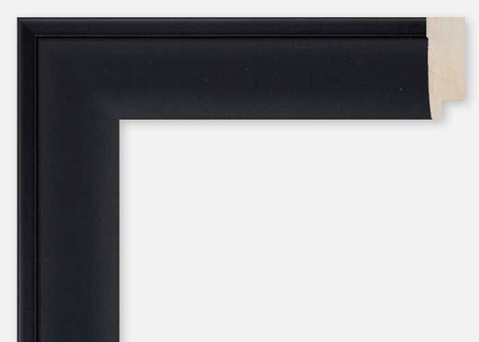 Custom Frame CFCDMS-9282