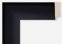 Custom Frame CFCDMS-9283