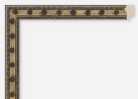 Custom Frame CFCDMS-9330