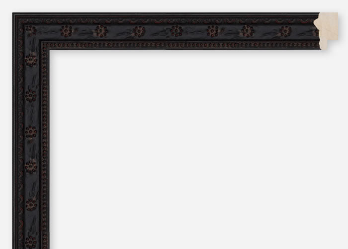 Custom Frame CFCDMS-9331