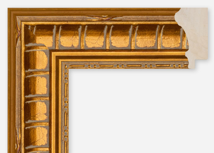 Custom Frame CFCDMS-9406