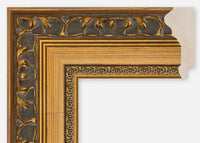 Custom Frame CFCDMS-9420