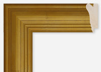 Custom Frame CFCDMS-9633