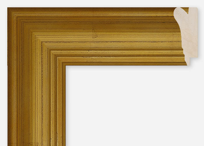 Custom Frame CFCDMS-9633