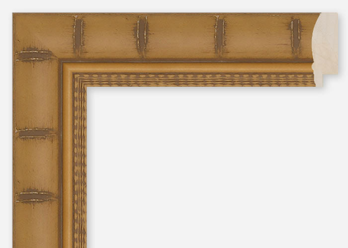 Custom Frame CFCDMS-9669
