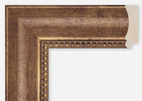 Custom Frame CFCDMS-9671
