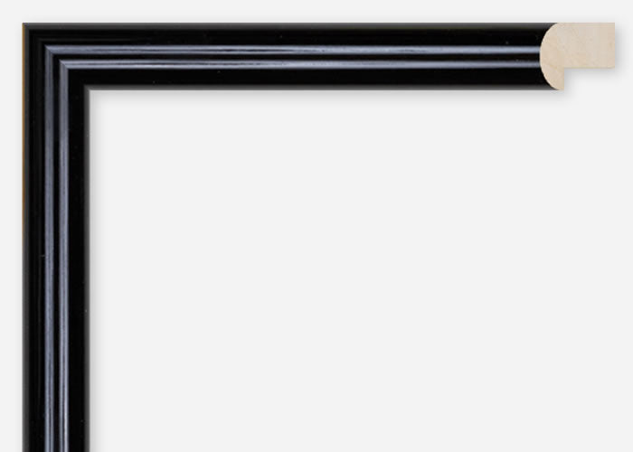 Custom Frame CFCDMS-9681