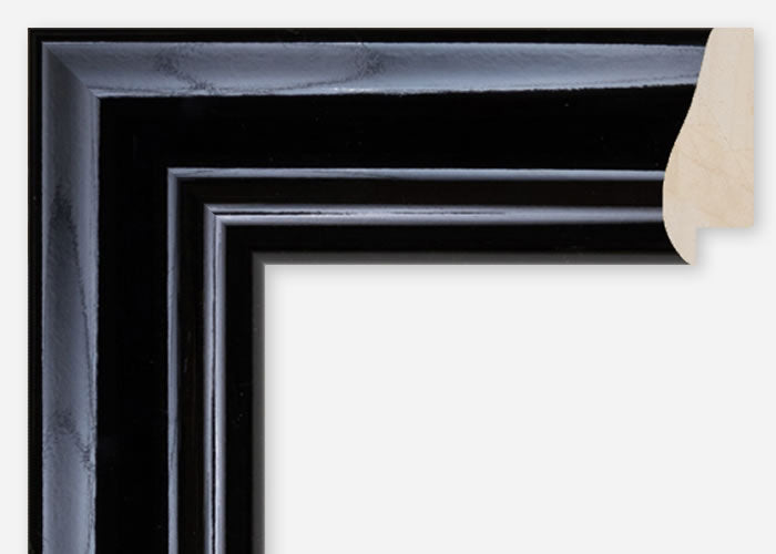 Custom Frame CFCDMS-9690