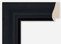 Custom Frame CFCDMS-9692
