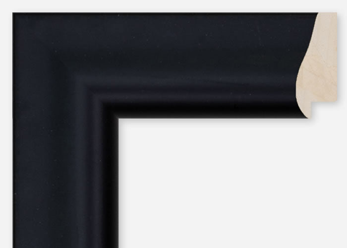 Custom Frame CFCDMS-9692
