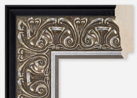 Custom Frame CFCDMS-9735