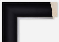 Custom Frame CFCDMS-9764