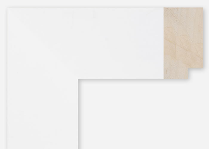 Custom Frame CFCDMS-9801
