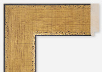 Custom Frame CFCDMS-9874